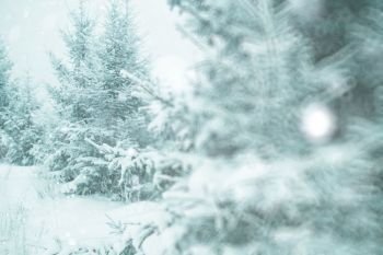 blurred background small Christmas trees with snow winter