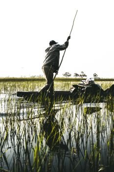 Natives in the Okavango delta