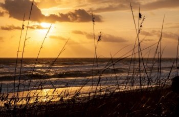 Tranquil empty beach with long grass and sand dunes at dawn sunrise or sunset