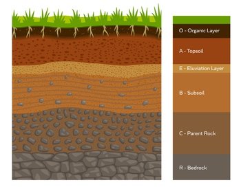 Soil layer infographic, earth geology formation bedrock, parent rock, subsoil, eluviation layer, topsoil and organic layer cross section view. Ground and underground surface vector infographics chart. Soil layer infographic, earth geology formation