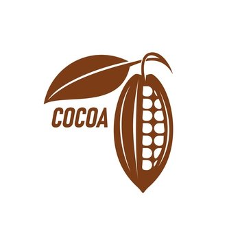Cocoa bean icon. Cafe cacao drink or sweet beverage desert menu symbol or graphic label, organic farm vector icon or sign or emblem with brown tropical cocoa fruit seeds and leaf. Cocoa bean icon, cacao fruit seed vector symbol