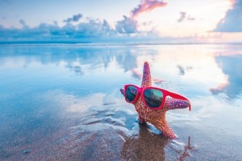 Starfish in sunglasses on the summer beach at sunset tropical vacation concept. Starfish in sunglasses on beach