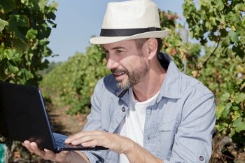 man vintner using laptop in vineyard