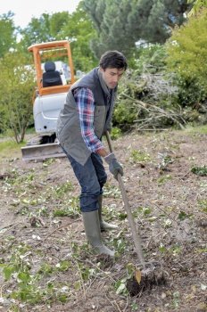Man working in garden, digger in background