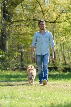 man in the blue shirt walking the golden retriever dog