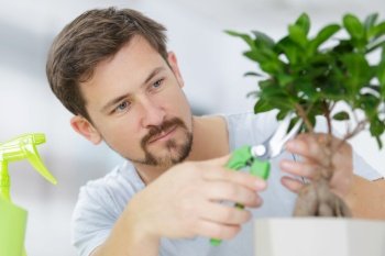 a man trimming bonsai tree