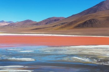 Altiplano Lake in  Andes mountains, Bolivia, South America