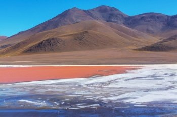 Altiplano Lake in  Andes mountains, Bolivia, South America