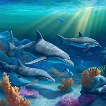 dolphins underwater, seascape coral reef background with clear water and sunshine. underwater sea scape
