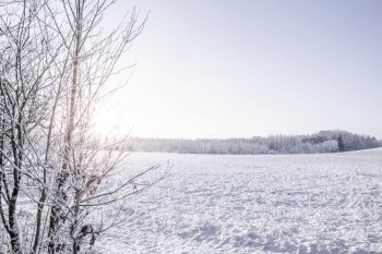 Field covered in snow in a countryside scenery on a bright day