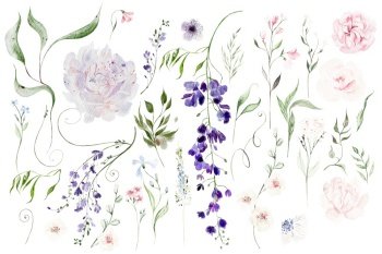 Watercolor set with different elements.  Illustration. Watercolor set with different elements.  