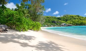 Beautiful tropical beach with trees, shadows and ocean. Vacation concept.. Beautiful tropical beach with trees, shadows and ocean. Vacation