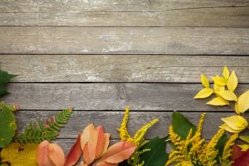 Autumn leaves on wood background. Copy space. Top view