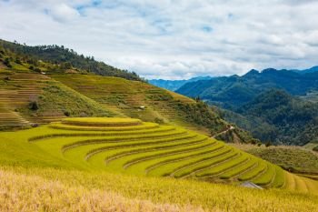 Rice terraces in water season in Mu Cang Chai Vietnam. The terraces are farmed by Hmong ethnic minorities.