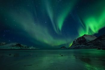 wonderful night sky with northern lights over a beach with reflections, lofoten, norway