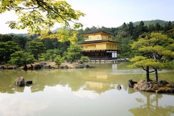 Kinkakuji Temple The Golden Pavilion in Kyoto , Japan 