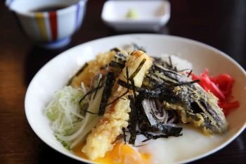soba with tempura noodle Japanese food