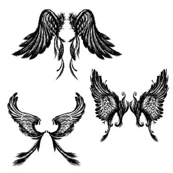 Set of Wings , isolated on white background,hand drawing, vector illustration.. Set of Wings , isolated on white background