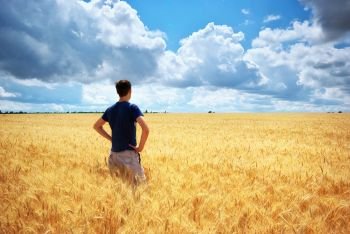 Man in yellow wheat meadow. Conceptual design. Agricultural scene.