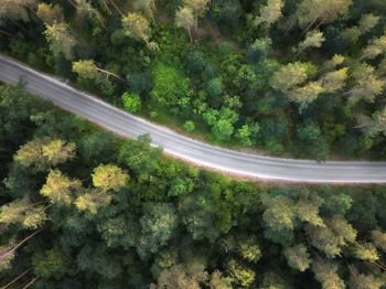 Birds eye view from the drone to a empty road through the forest with high trees. Top view.. The asphalt road through the forest . Aerial view from the drone at sunset in the summer.