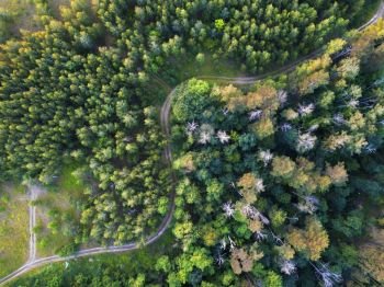 A winding road through the forest. Top view from the drones from a bird’s eye view.. Aerial view from the drone of road through the forest in the summer.