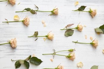 Pattern made of various natural roses neatly arranged on white table. Flat lay.. background from roses