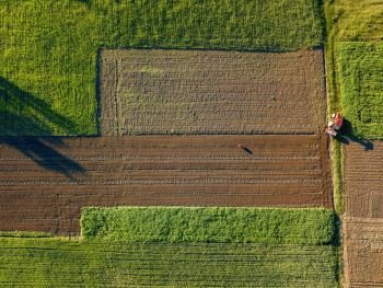 Abstract geometric forms of agricultural fields with different crops and soil without crop sowing, separated by road and tractor on it, in green and black colors with shadows from trees. A bird’s eye view from the drone.. Aerial view from the drone, a bird’s eye view of agricultural fields with a road through and a tractor on it in the spring evening at sunset