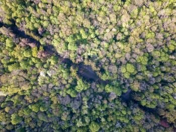 Aerial view from the drone on a dirt road that runs diagonally through the forest.. A bird’s eye view from drone on diagonally Forest Road.
