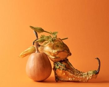 composition of decorative pumpkins of green leaves and flowers on an orange background. composition of decorative pumpkins