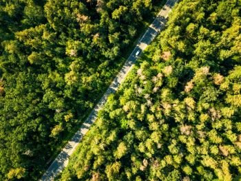 Foliage green forest with asphalt road on sunny day, natural beautiful background. Ecological Conservation Concept. Aerial view from the drone. The road with a passing car through the foliage of the forest on a sunny day. Aerial view of the drone as a natural layout