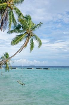 Beautiful landscape green palm trees over water on the island of Maldives
