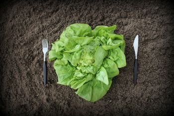 Healthy eating concept. Fork, knife and lettuce on soil .