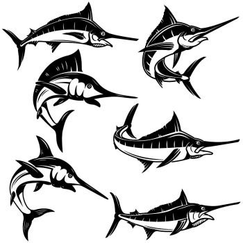 Set of marlin, swordfish illustrations. Design element for logo, label, emblem, sign, badge. Vector illustration