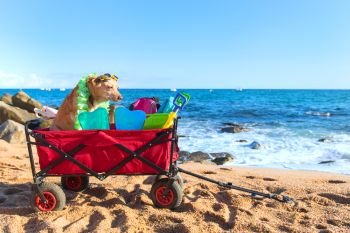 Red beach cart with luggage and dog in front of the sea