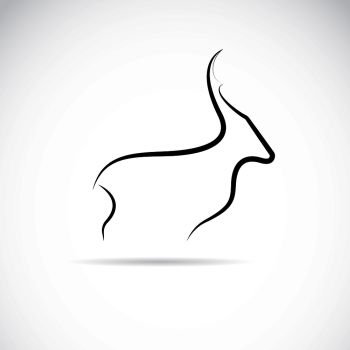 Vector image of an deer design on a white background