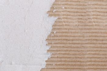 Texture of the brown paper box or cardboard with torn for the design background.
