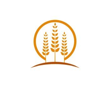 Agriculture wheat Logo Template vector icon design 
