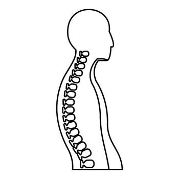 Human spine icon. Outline illustration of human spine vector icon for web. Human spine icon, outline style