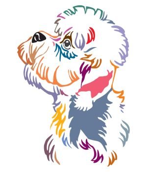 Colorful decorative outline portrait of Dandie Dinmont Terrier Dog looking in profile, vector illustration in different colors isolated on white background. Image for design and tattoo. 