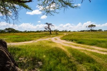 View of the trails and savannah of Samburu Park in central Kenya. View of the trails and savannah 