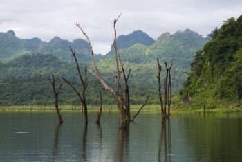 Thailand natural lake, wetland conservation site, Sangklaburi Kanchanaburi