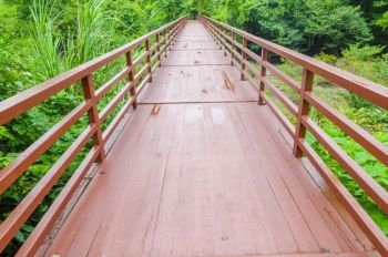 Bridge to the tropical forest in Khao Yai National Park, Thailand