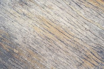 abstract texture background of old wood