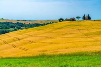 View of the beautiful hilly Tuscany in Valdorcia Italy in sunny day with the Cappella della Madonna di Vitaleta and the yellow wheat field