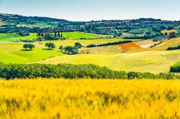 View of the beautiful field of wheat and flowers in Tuscany with the village farm house and Cypresses trees