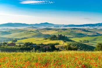Beautiful landscape of hilly Tuscany in summer sunny morning with famous farm house, vineyards and red poppy flowers field in Valdorcia, Italy