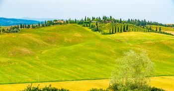 Panoramic view of hilly landscape in Tuscany with the vineyard, the cypress trees and the small hil top village at Val d’Orcia in Tuscany Italy