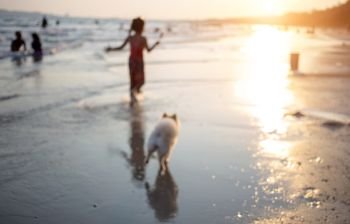 romantic friendship blur shot kid and dog happy walking on beach in twilight 