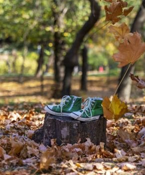 old, worn green sneakers on a stump in the midst of flying yellow maple leaves in an autumn park