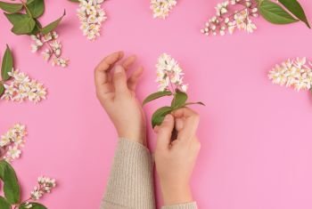 two female hands and small white flowers on a pink background, fashionable concept for hand skin care, anti-aging care, spa treatments
